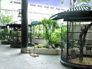 Tips Bird Garden